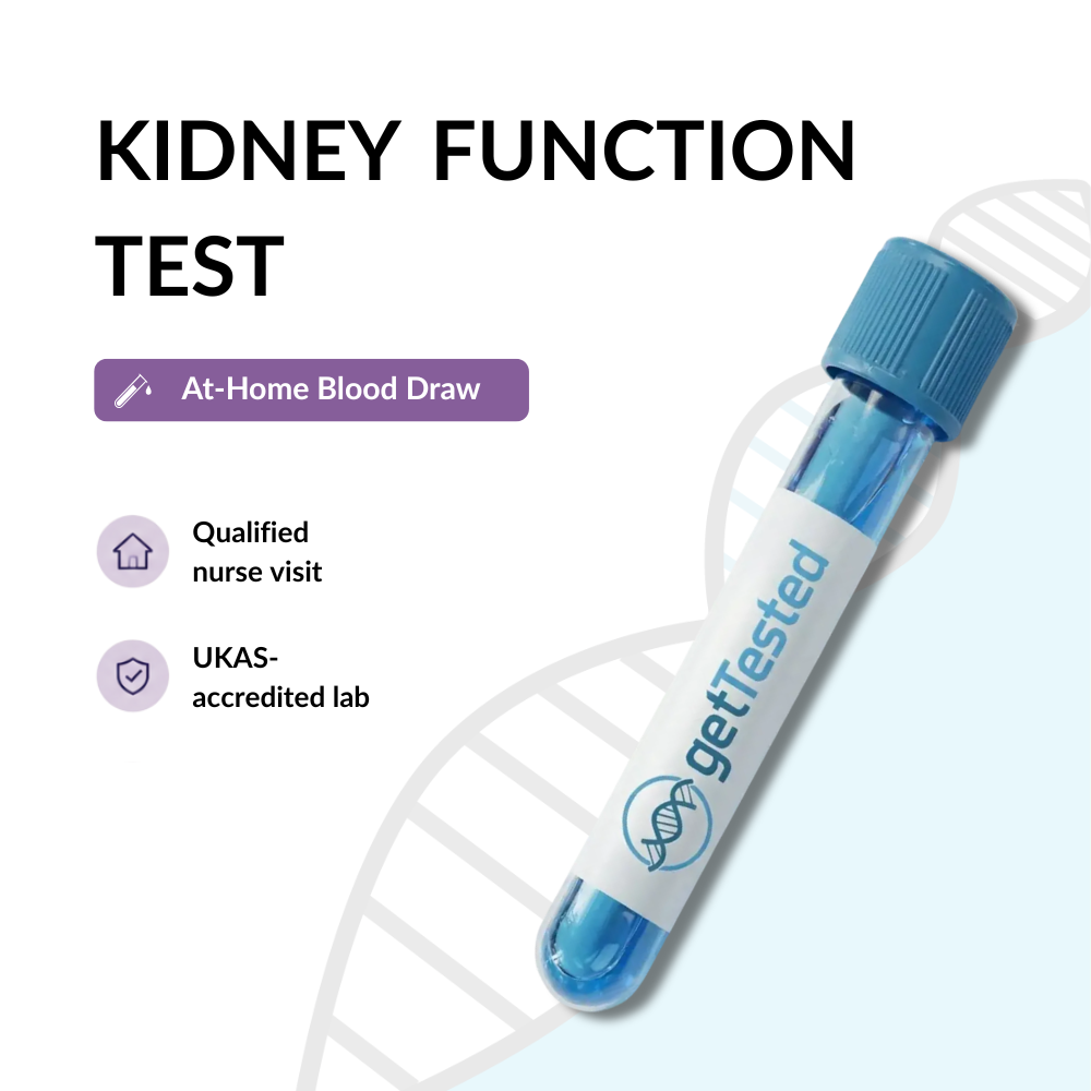 Kidney Function Test