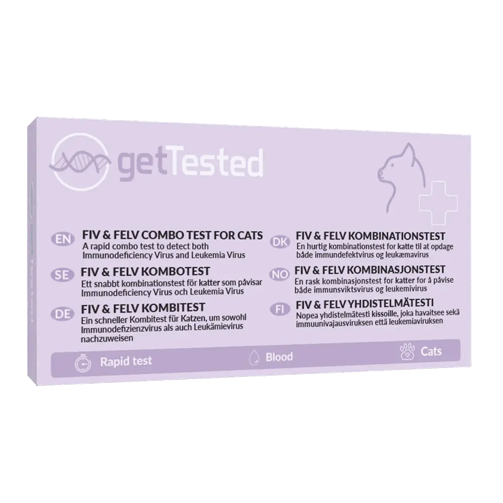 FIV- och FeLV-test för katter (immunbrist & leukemi)