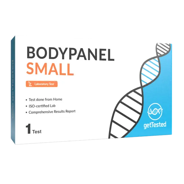 BodyPanel Small