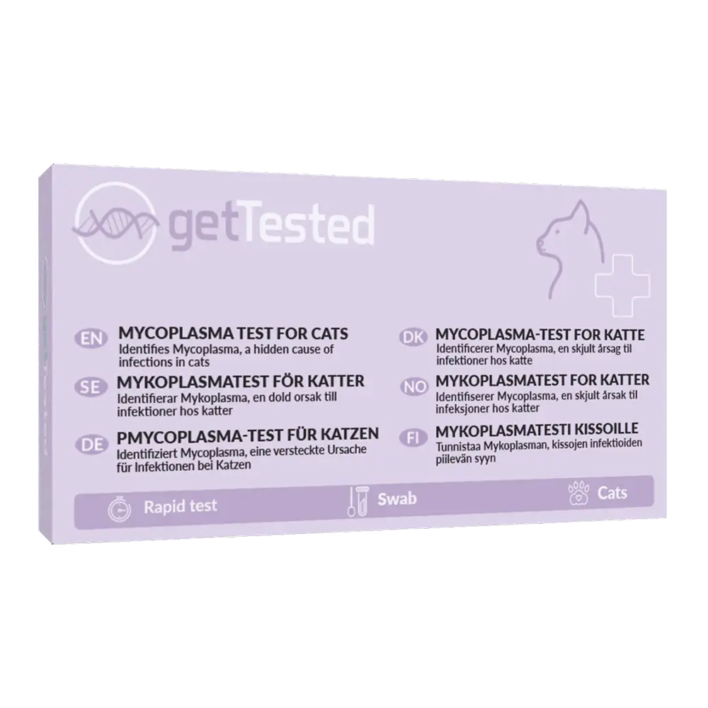Mycoplasmatest för katt