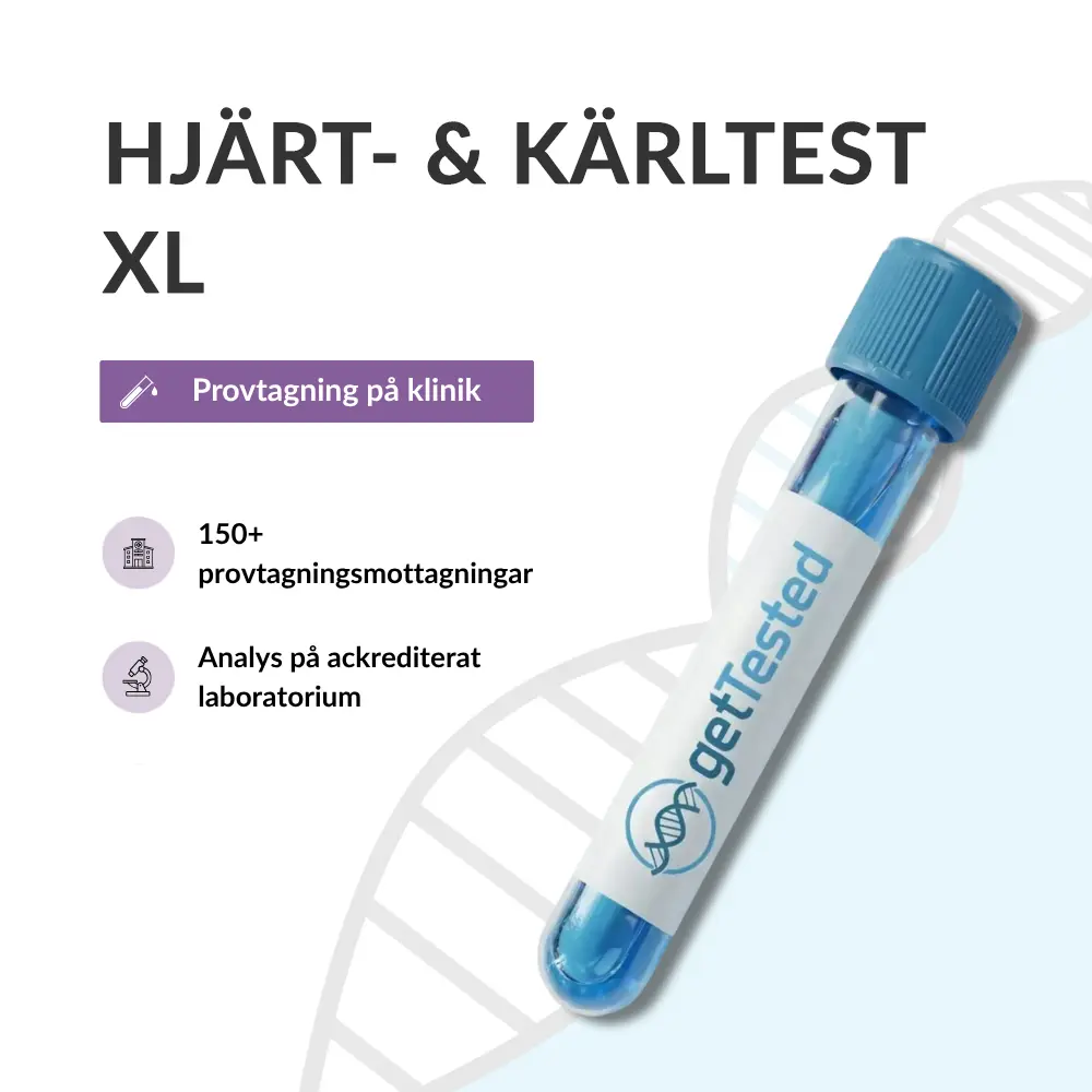 Hjärt- & Kärltest XL