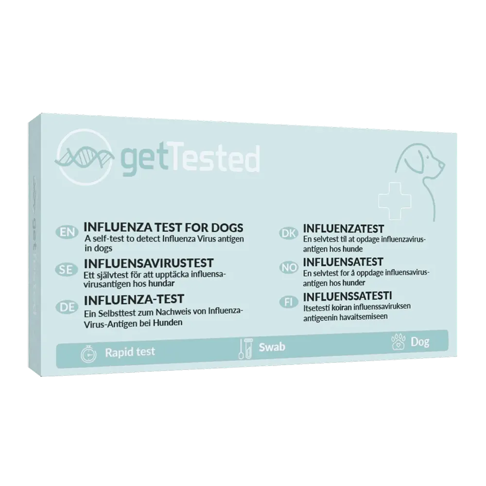 Influensatest för hund