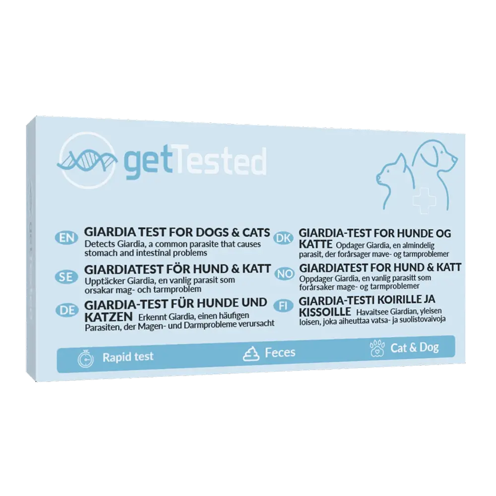 Giardia parasittest för hund och katt