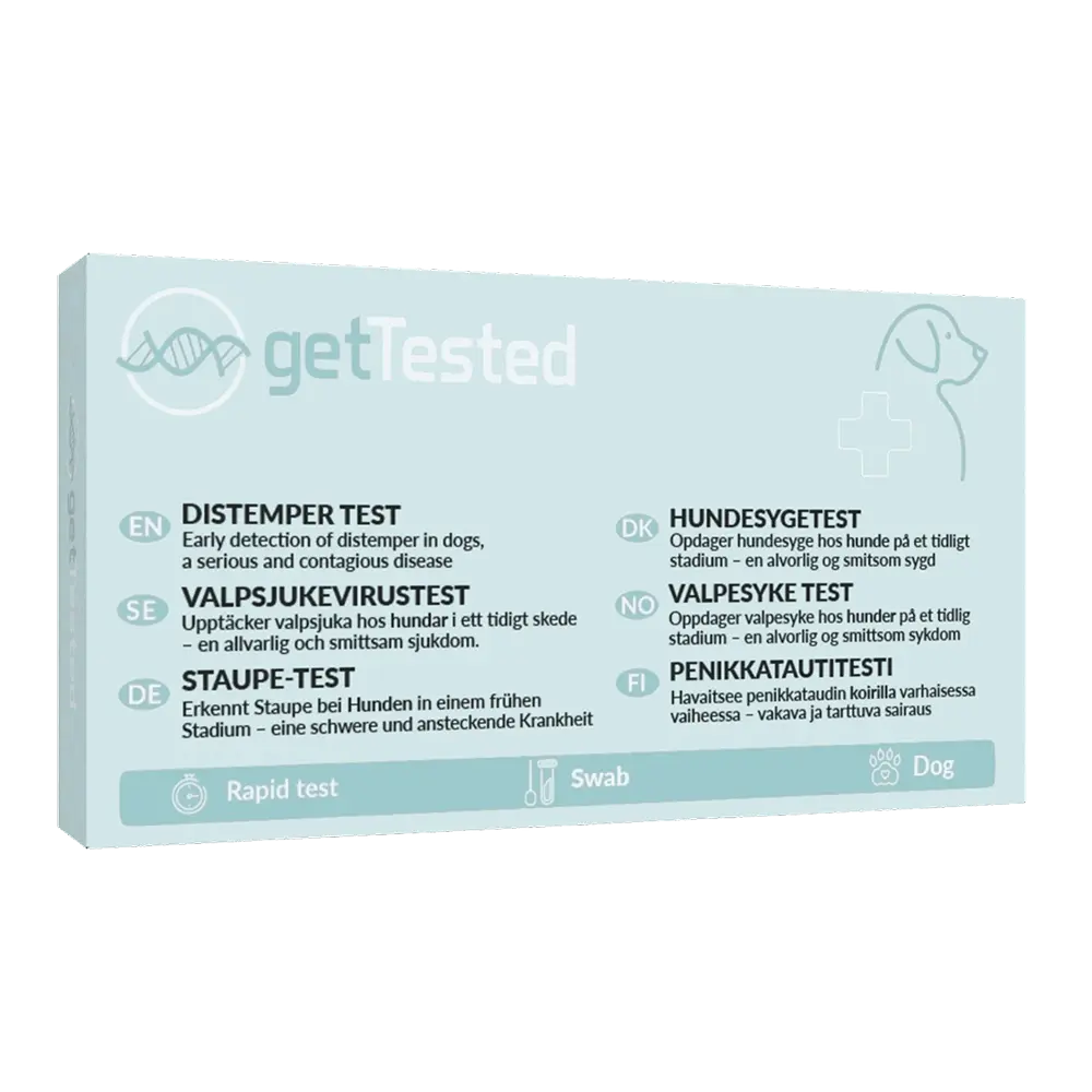 Valpsjuka Test för Hund