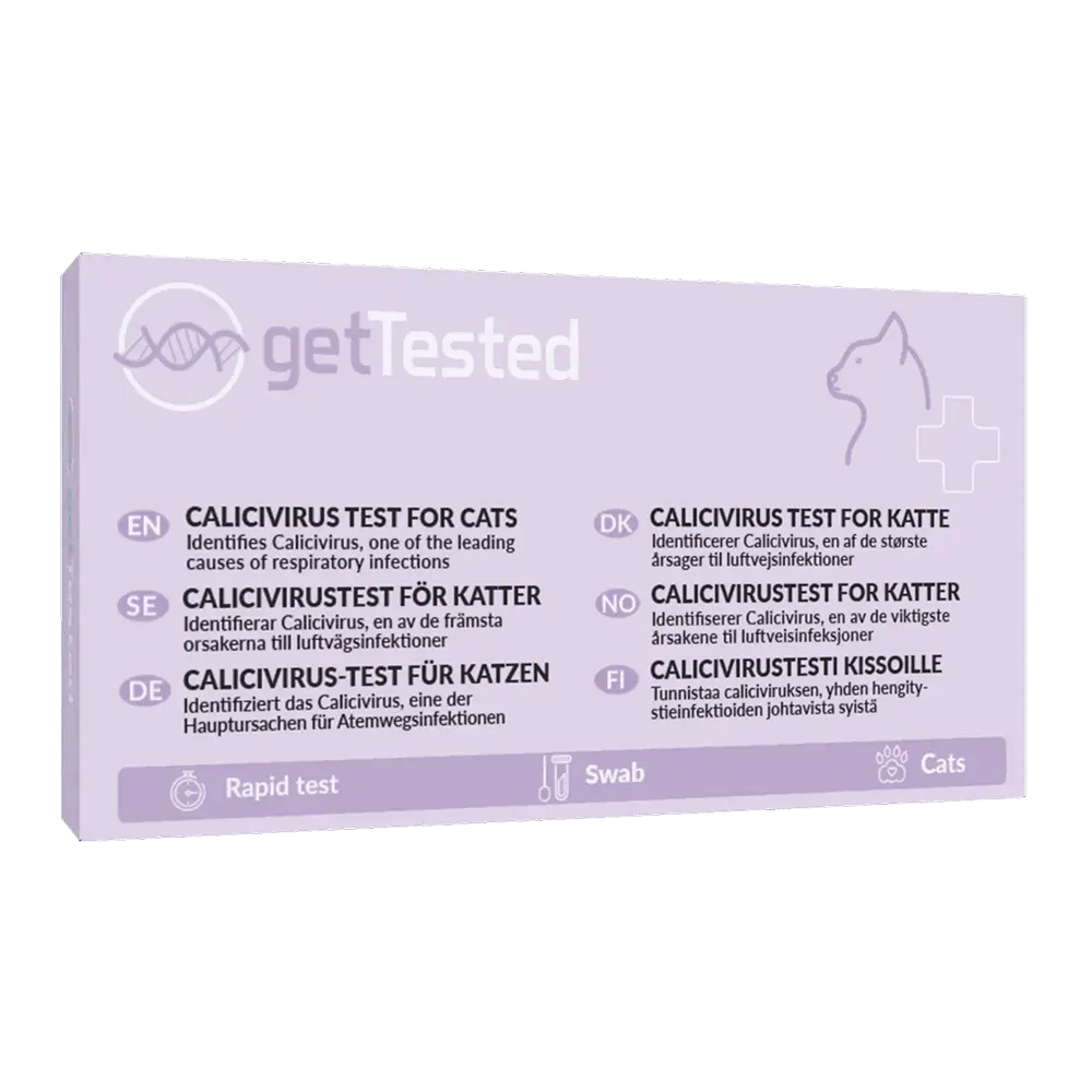 Kattinfluensatest