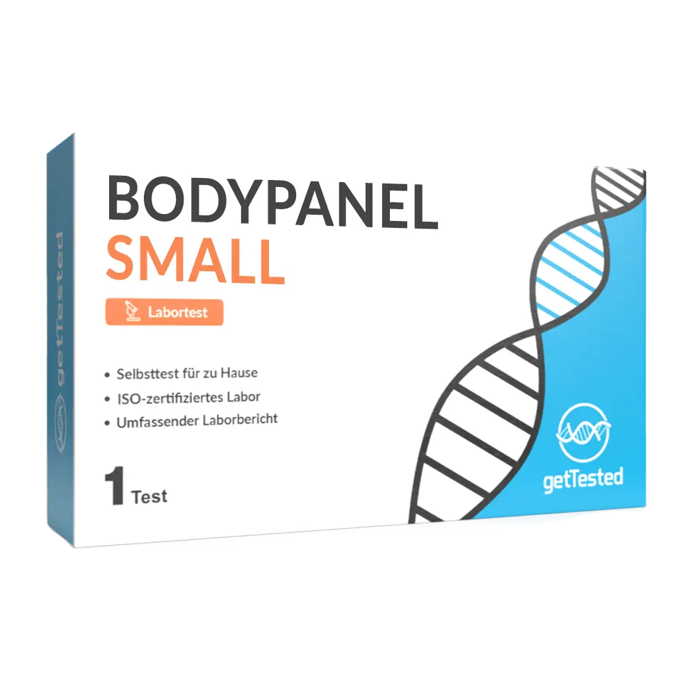 BodyPanel Small