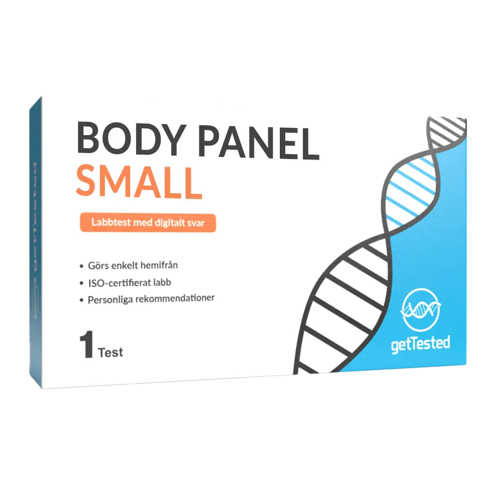 BodyPanel Small