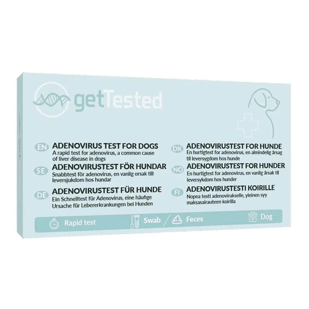 Adenovirustest för hundar (smittsam leverinflammation)