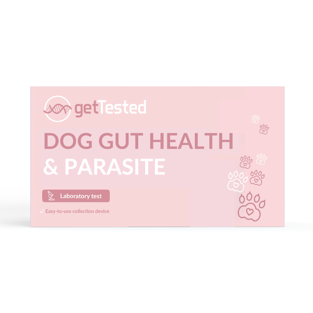 Dog Gut Health & Parasite Test
