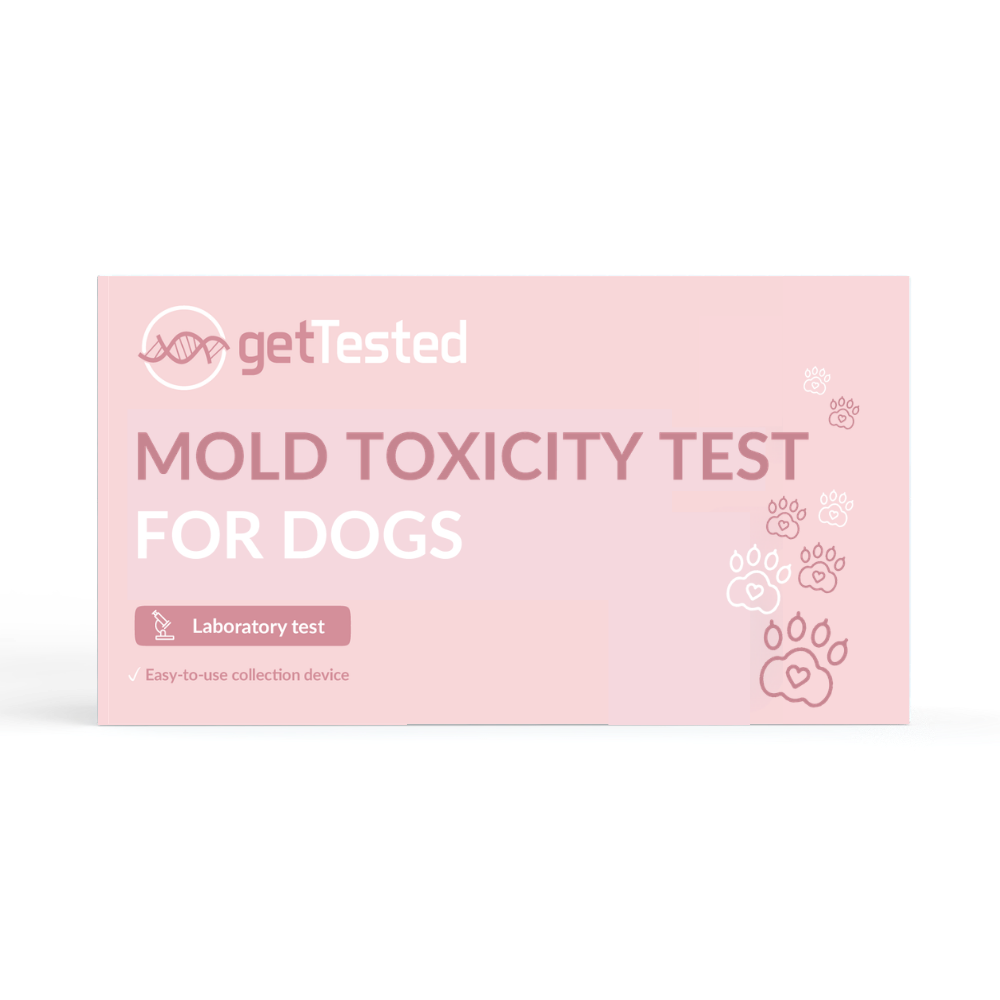 Mold toxicity test for dogs