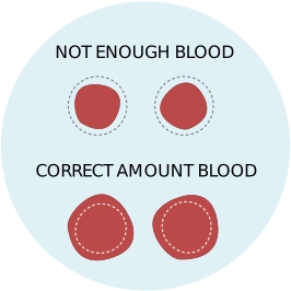 Drip Blood Onto The Circles - image 2