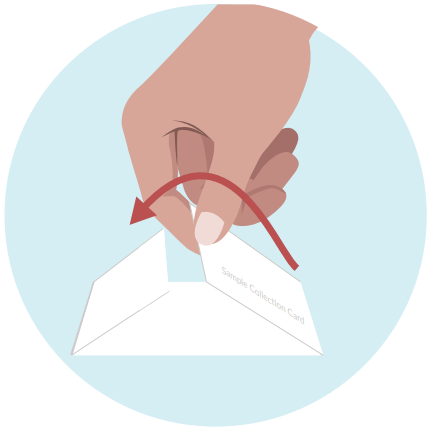 Fold Paper - image 1