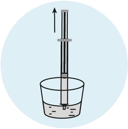 Transfer Sample - image 1