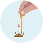 Collect Feces At 3 Places - image 1