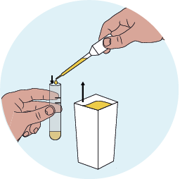 Insert the pipette into the cup - image 1
