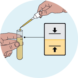 Place the tip of the pipette into the collection tube - image 1