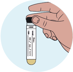 Place the completed sample - image 1