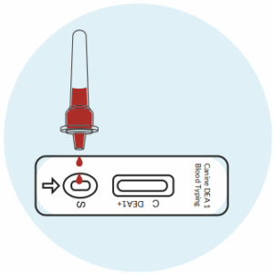 Apply Sample - image 1