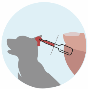 Collect Sample - image 1