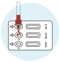 Apply Sample - image 1
