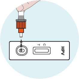 Apply Sample To The Cassette - image 1