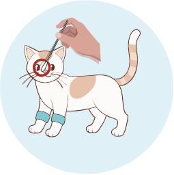Step 2 - image 1