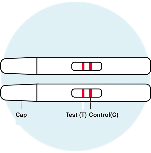 Interpret results. - image 2