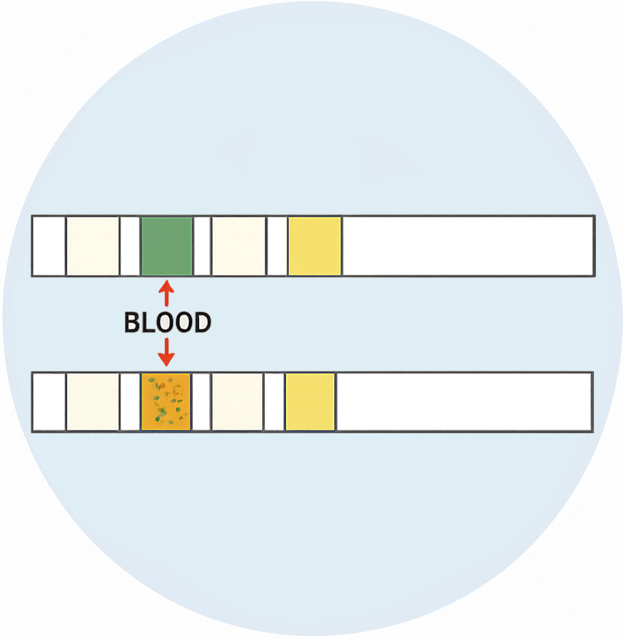 Positive: Blood - image 1