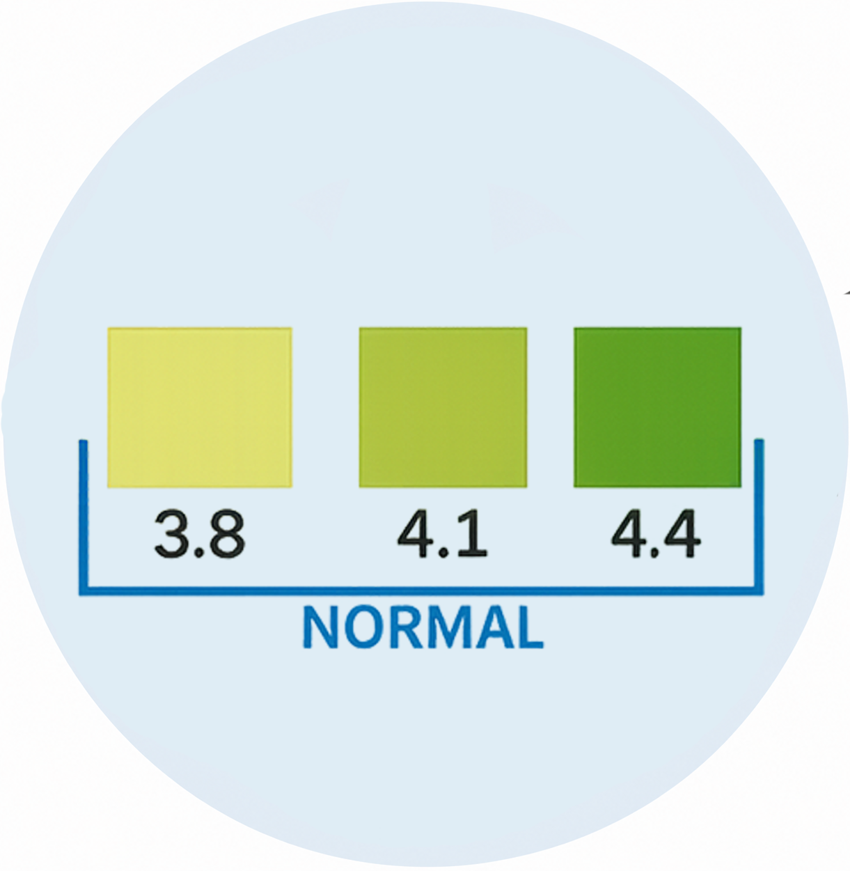 Normal Range (3.8-4.4) - image 1