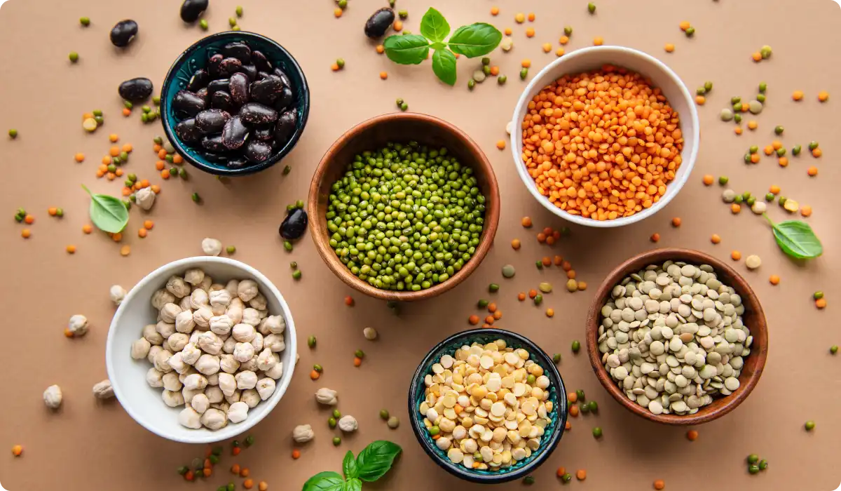 Vegan Protein: Does a Plant-Based Diet Provide Sufficient Protein?