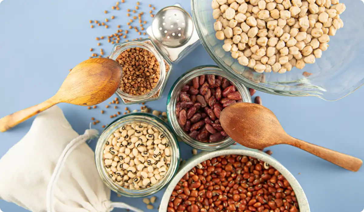The Best Plant-Based Protein