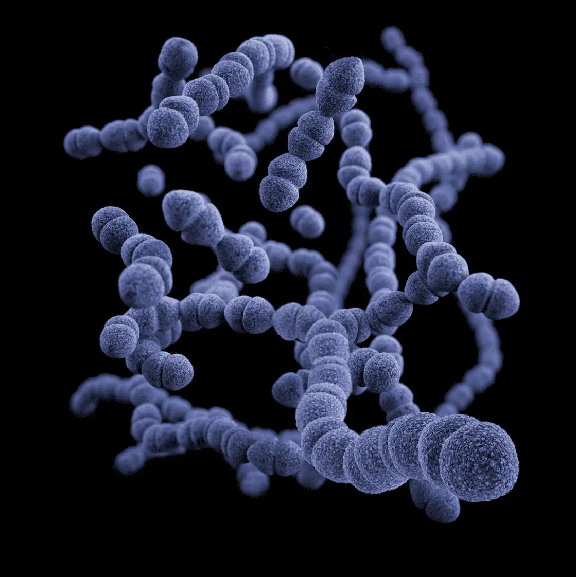 How to Improve Your Gut Microbiome