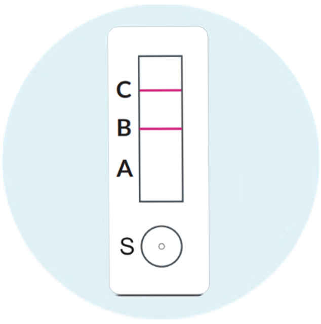 Type B - image 1