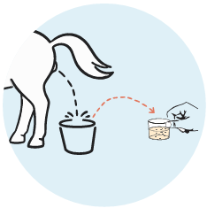 Collect Sample - image 1
