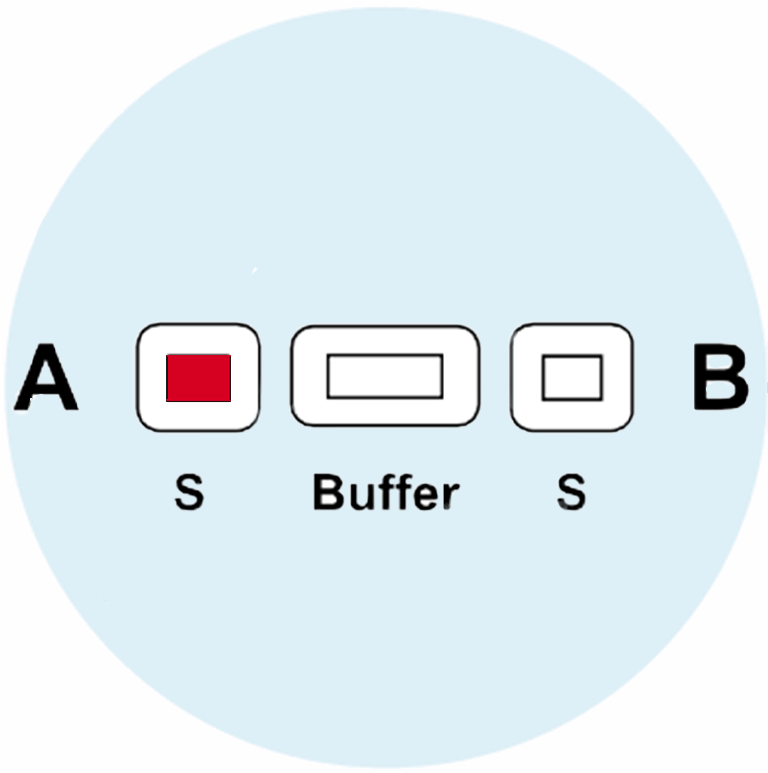 Blood Group A - image 1
