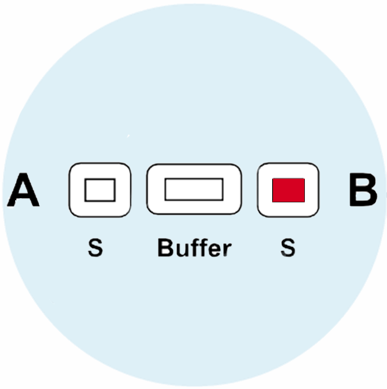 Blood Group B - image 1