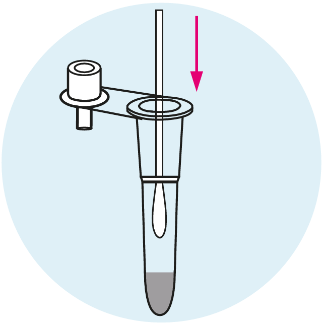 Place The Swab In The Tube - image 1