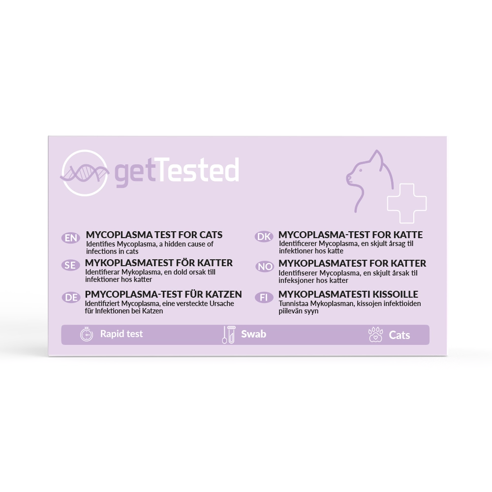 Respiratory Infection (Mycoplasma) Test for Cats