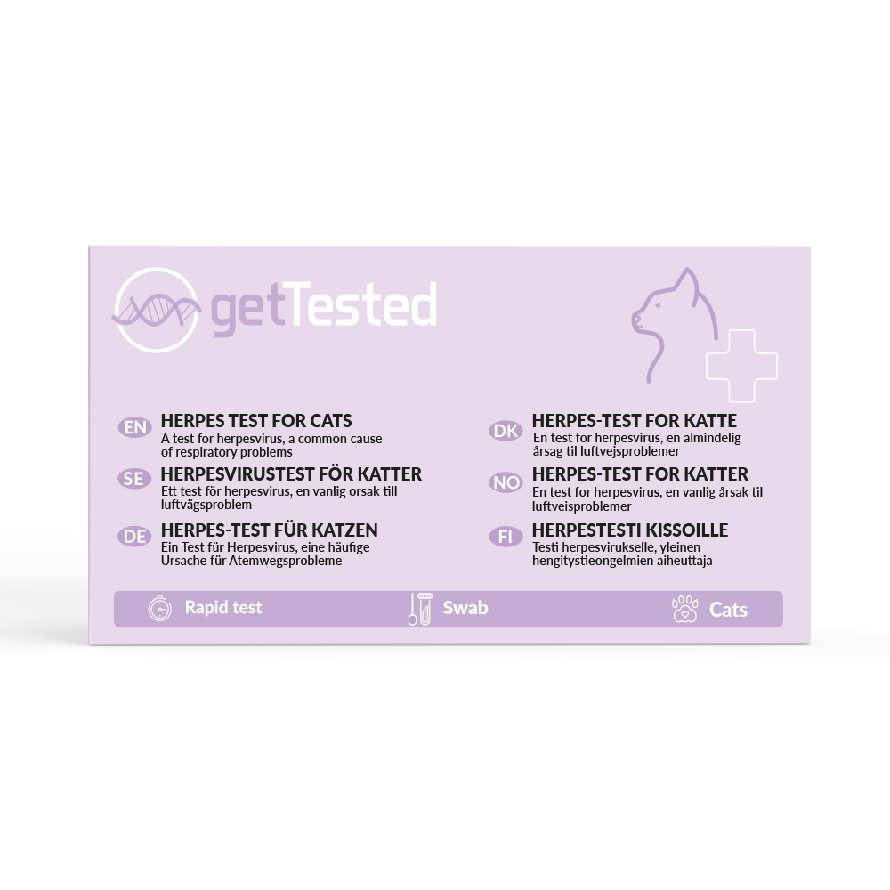 Respiratory Virus (Herpes) Test for Cats