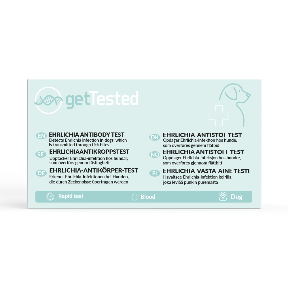 Tick Fever (Ehrlichia Antibody) Test for Dogs