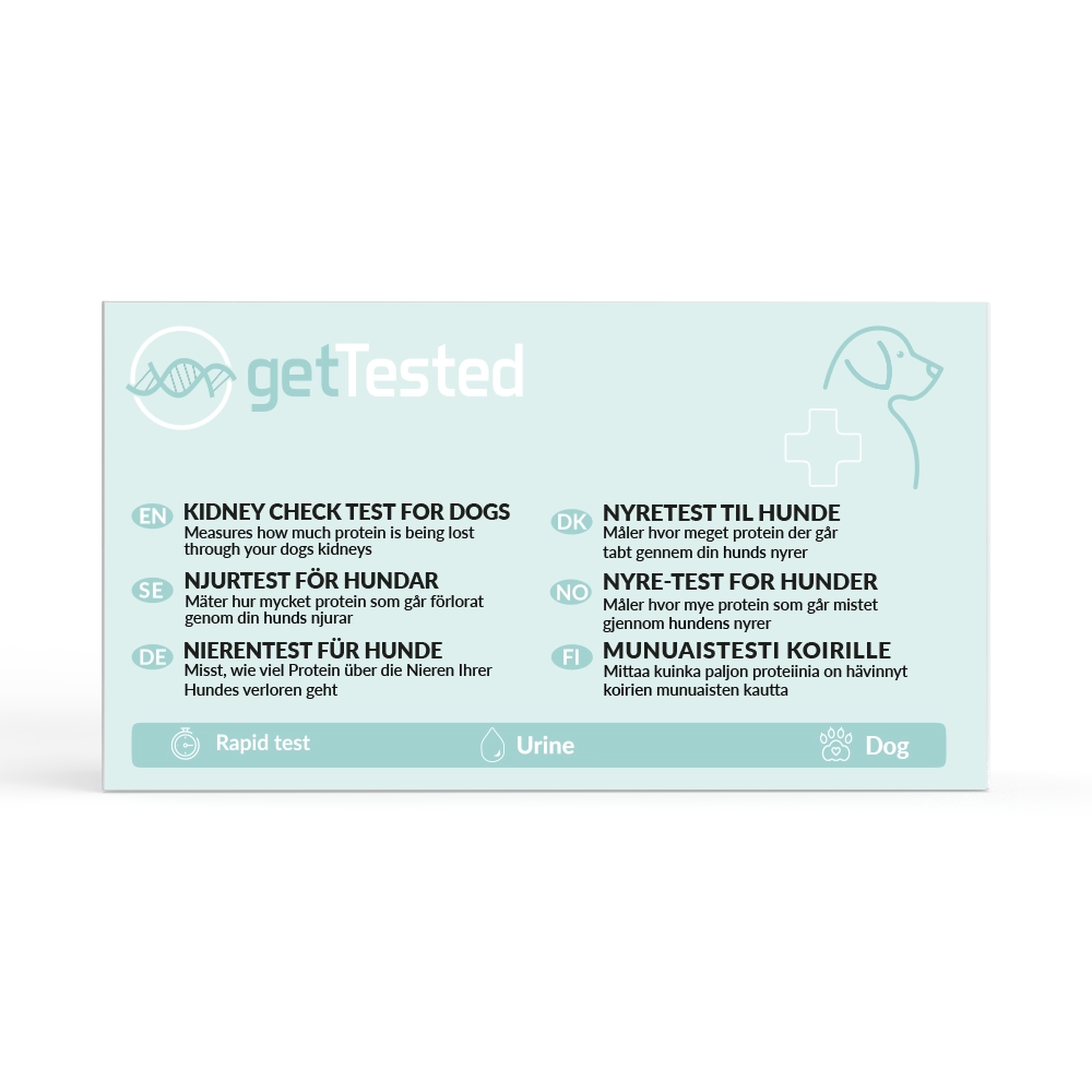 Kidney Test for Dogs