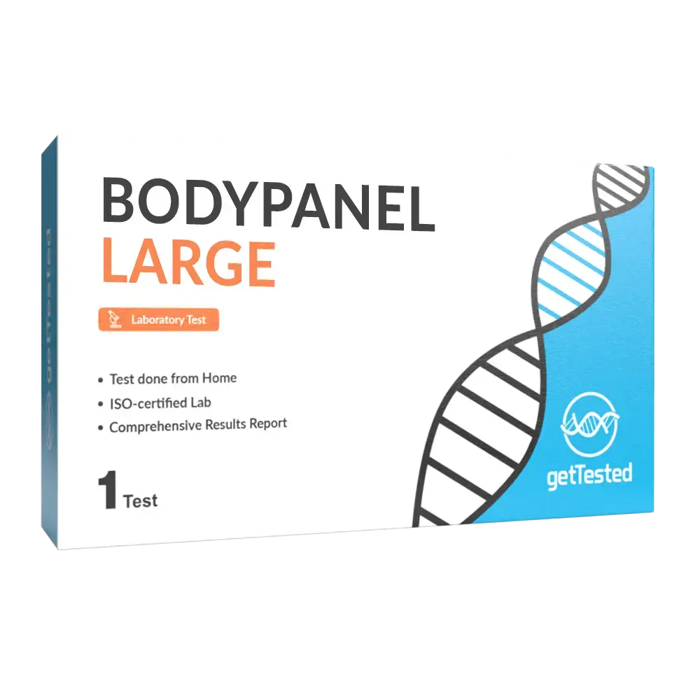 BodyPanel Large - Image 1