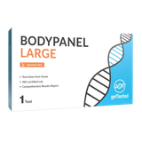 BodyPanel Large
