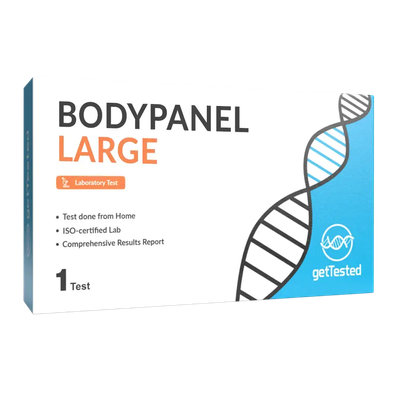 BodyPanel Large