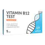 Vitamin B12 Test