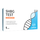 SHBG Test – Sex Hormone-Binding Globulin