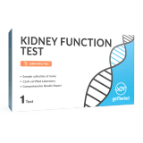 Kidney Function Test