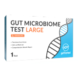 Gut Microbiome Test Large