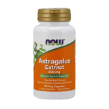 Astragalus Extract 500 mg