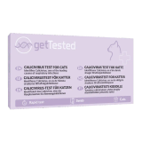 Kattinfluensatest